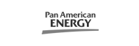 Logo de Pan American